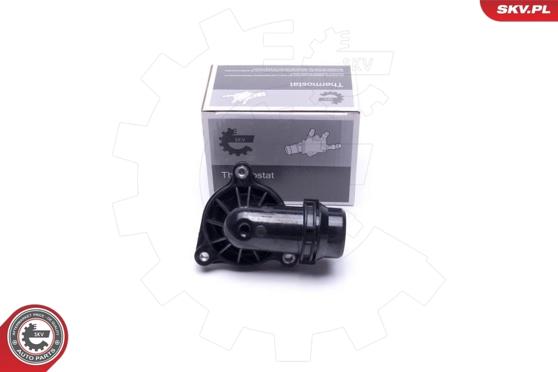 Thermostat, coolant
